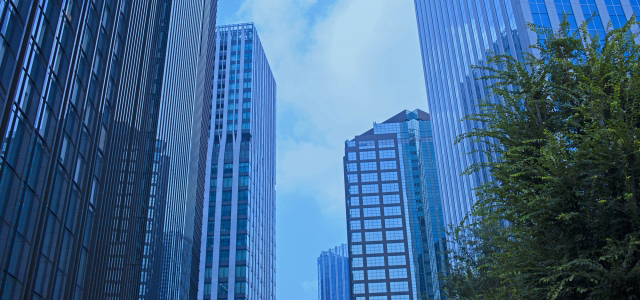 企業情報